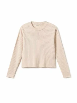 Ambre