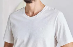 Moturiki