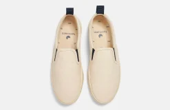 Toro